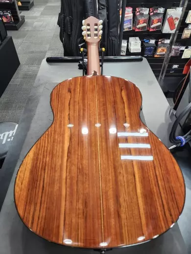 Store Special Product - Yamaha - CGTA NT